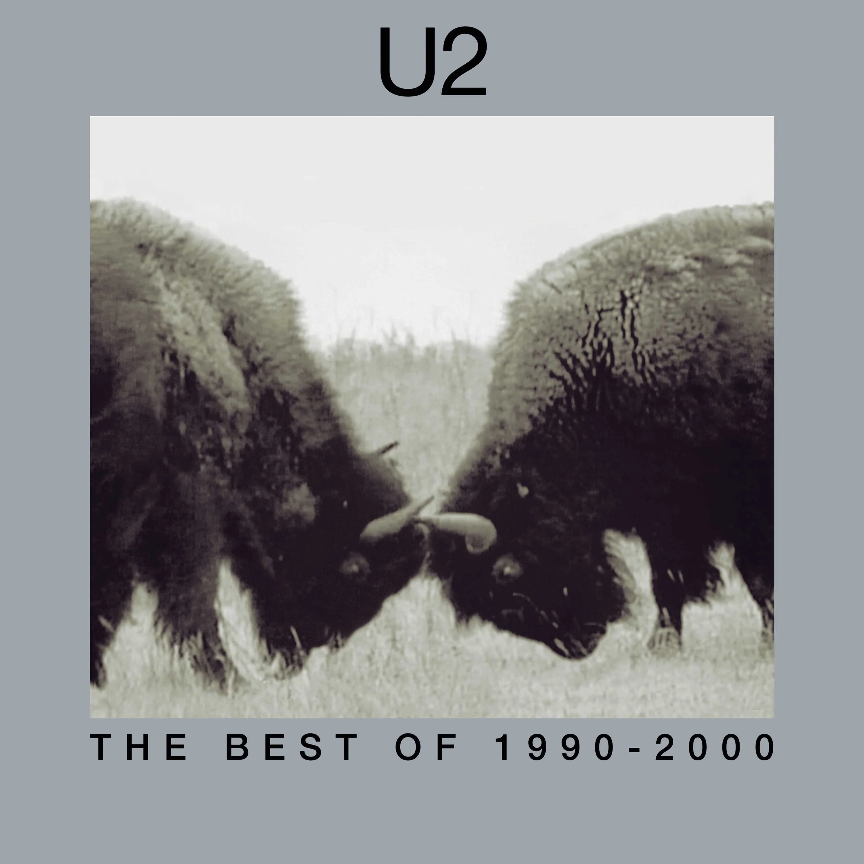 The Best Of 1990-2000 (2LP) - Image 2