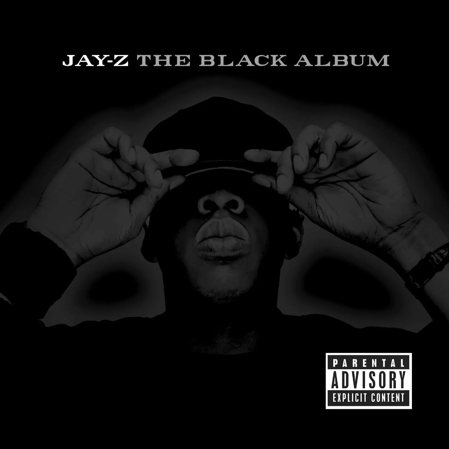 The Black Album (2LP) - Image 2