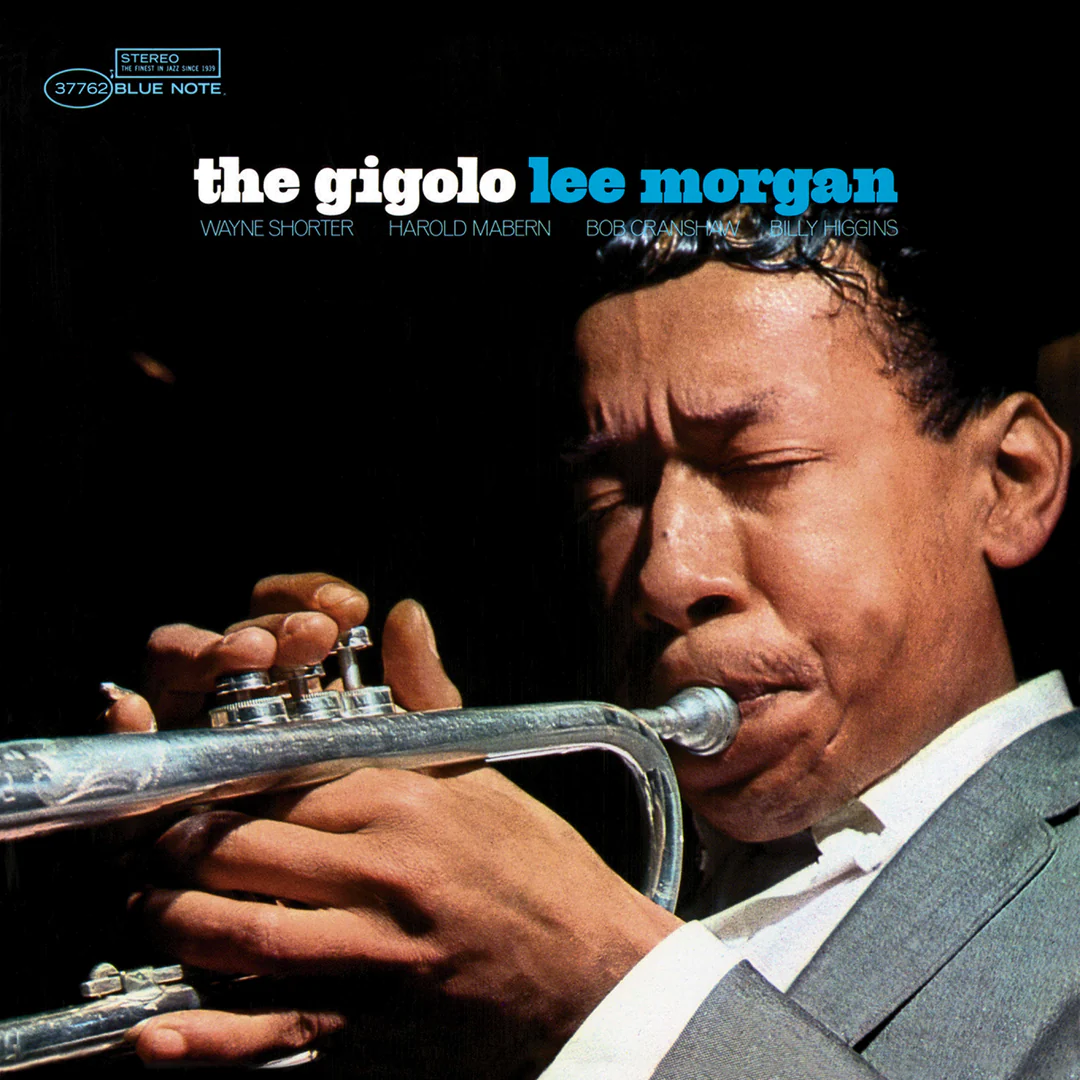 The Gigolo (LP)