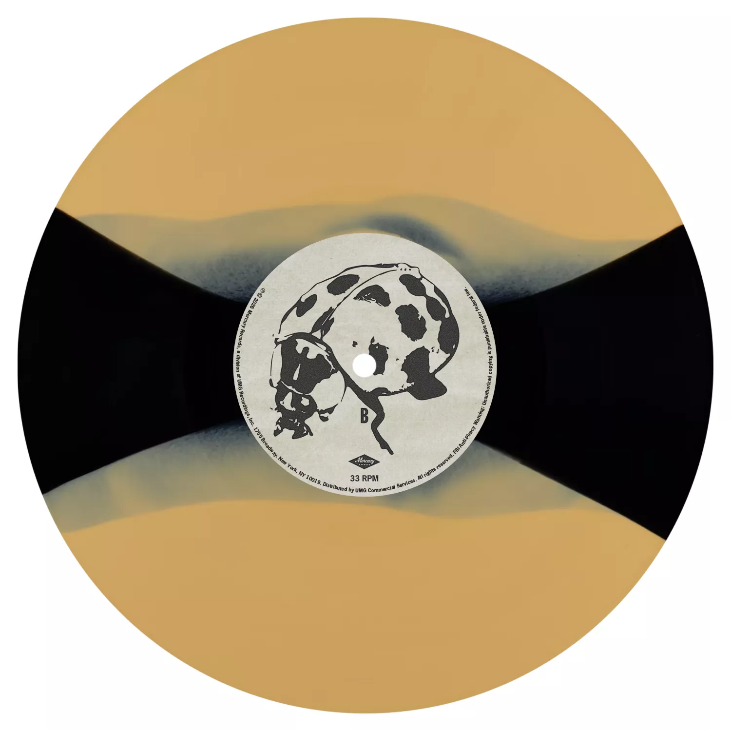 The Great Divide Headlights In The Dark Vinyl - Image 2