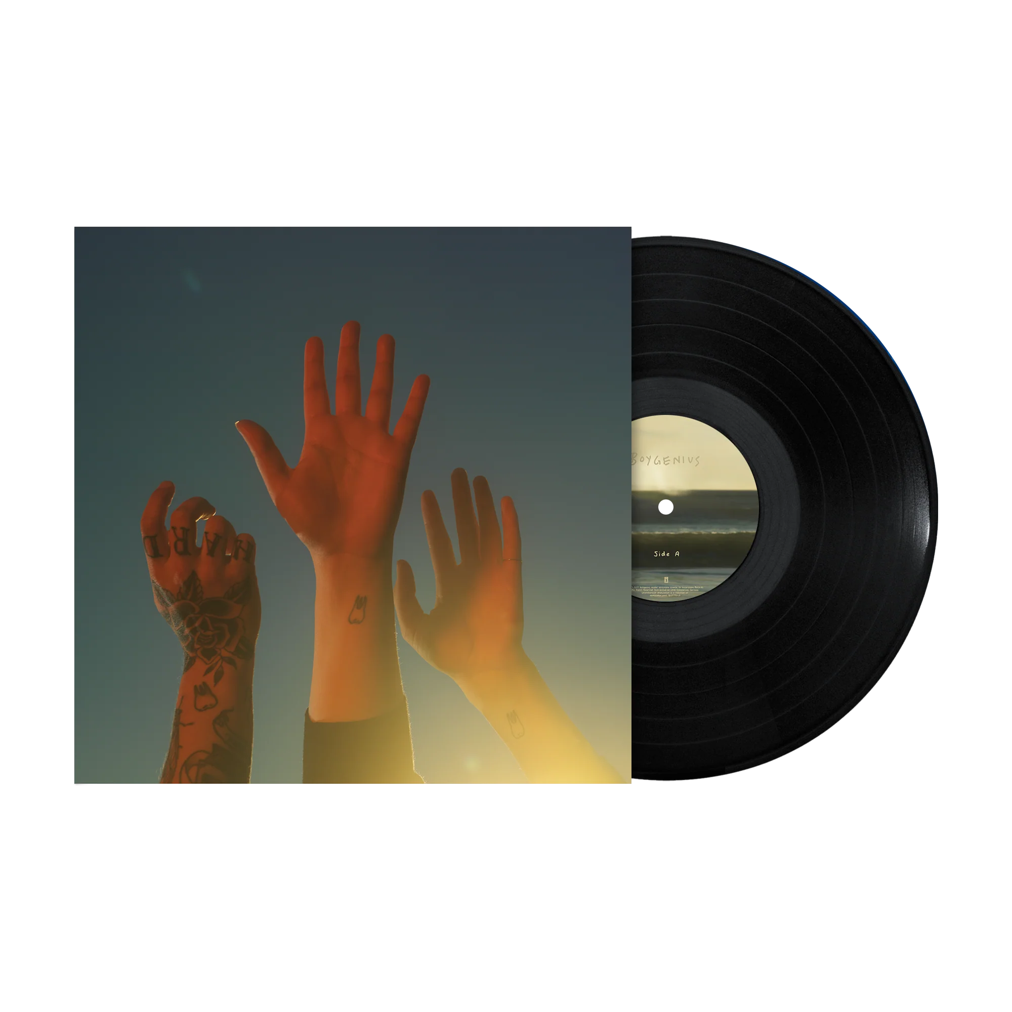 the record (LP)