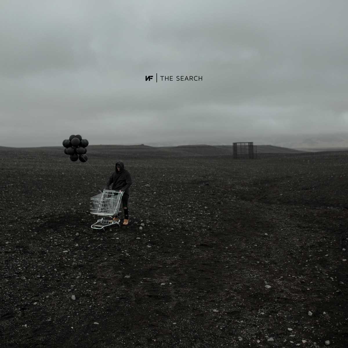 The Search (CD)