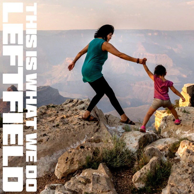 This Is What We Do (2LP)