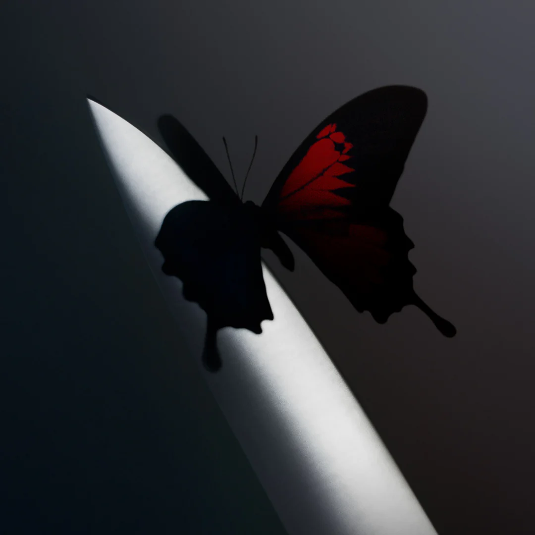 Twelve Carat Toothache (Black and Translucent Ruby 2LP) - Image 2