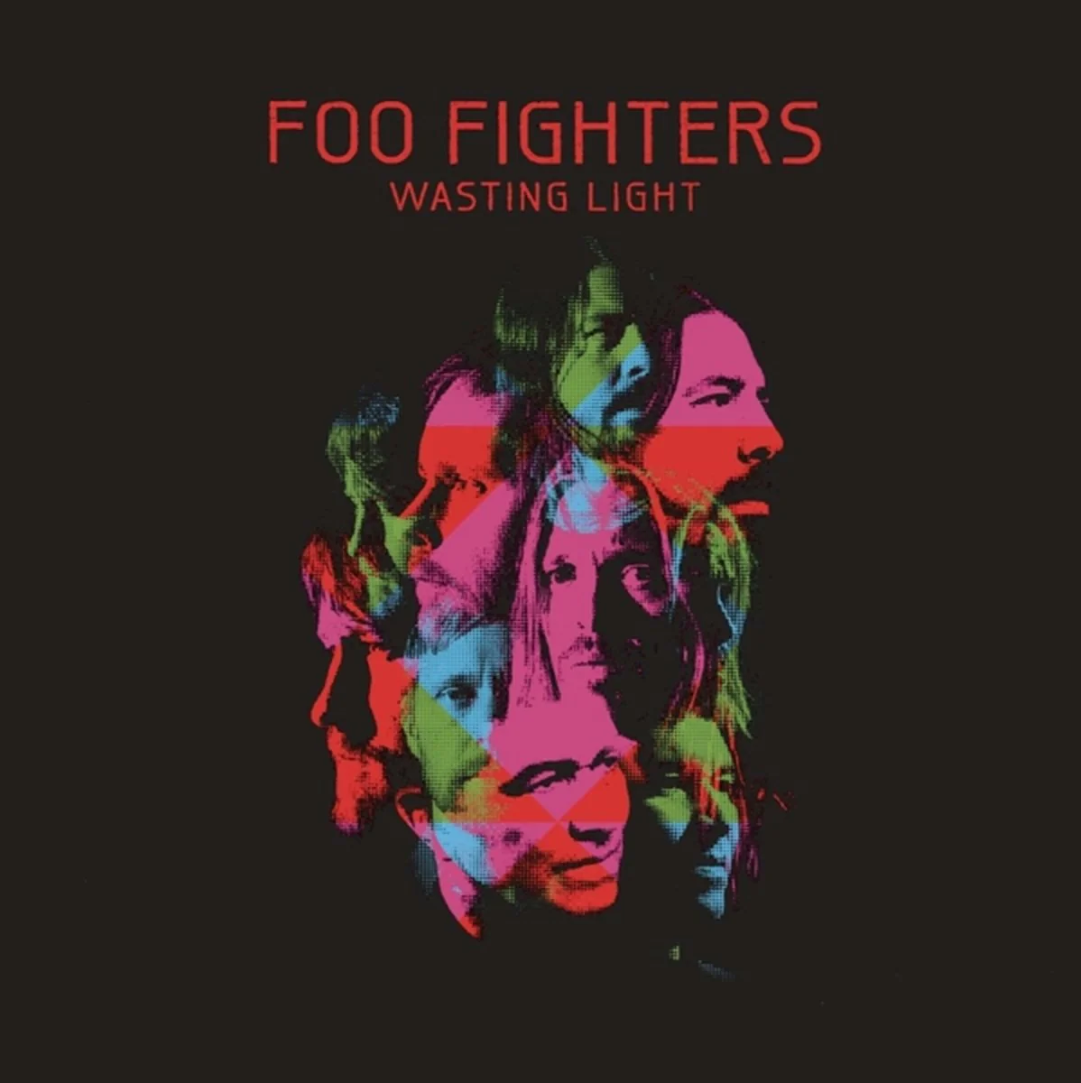 Wasting Light (CD)
