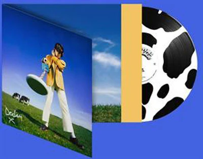 What Happened to the Beach? (Picture Disc LP)