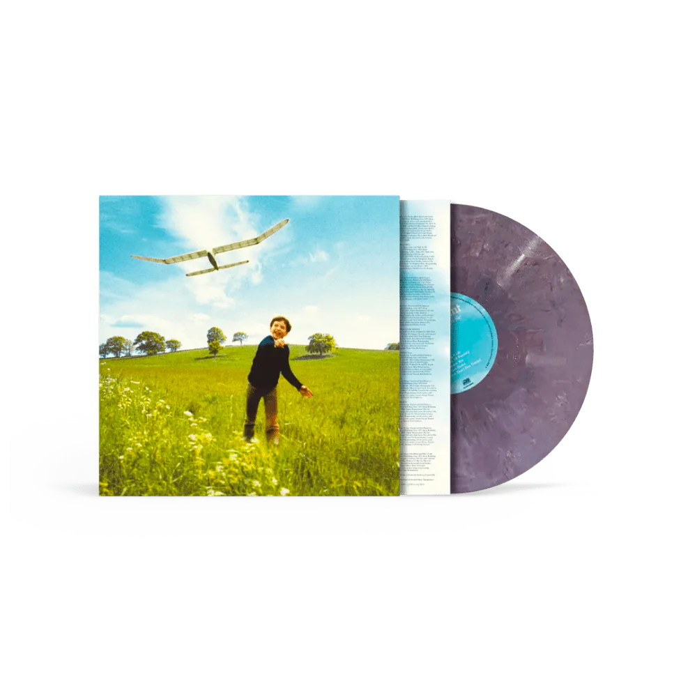 Who We Used To Be (Recycled Coloured LP)