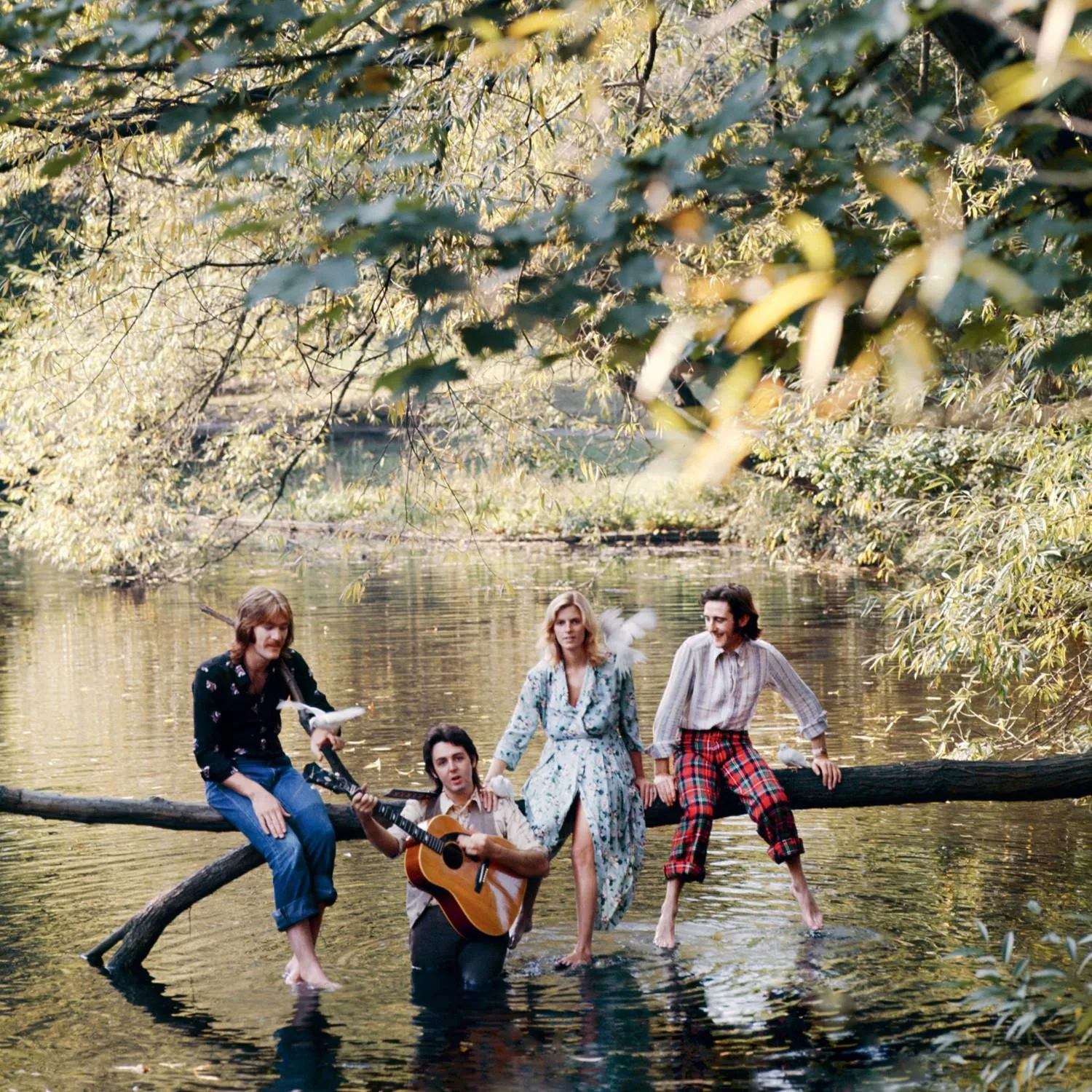 Wild Life (CD) - Image 2