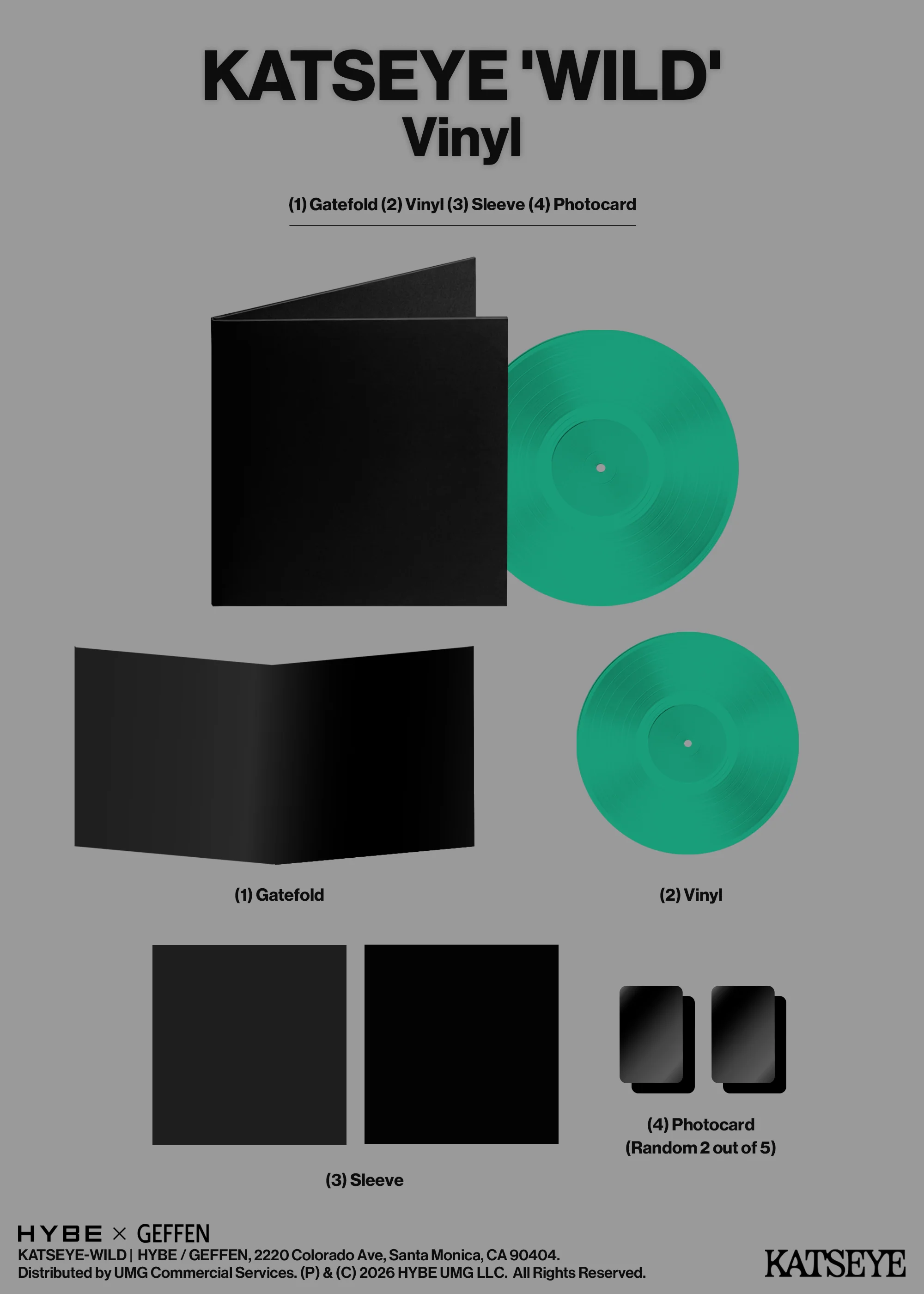WILD Vinyl - Standard Edition + Signed Artcard - Image 7