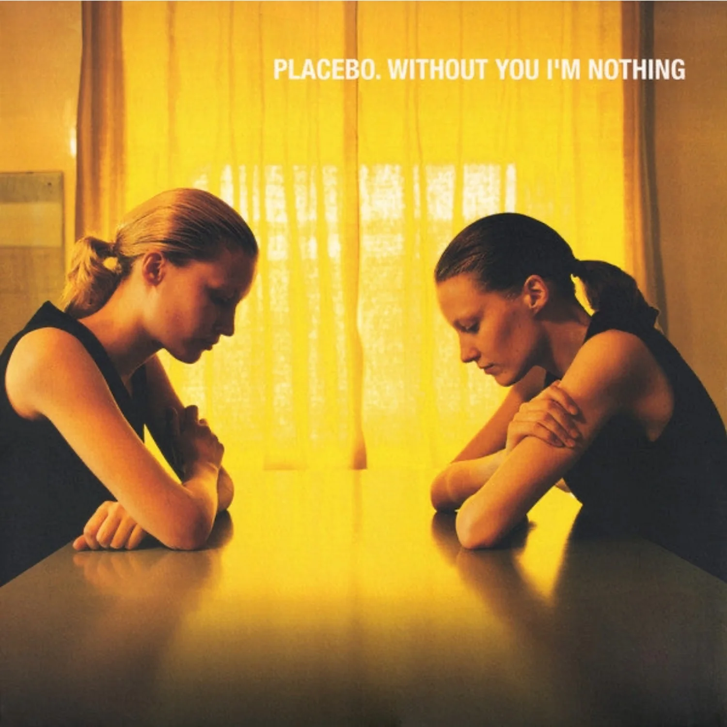 Without You I'm Nothing (LP)