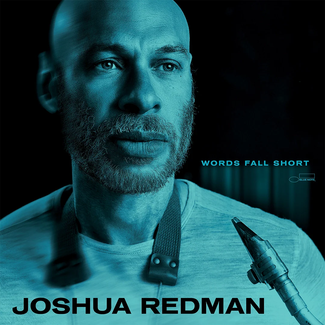 Words Fall Short (LP)