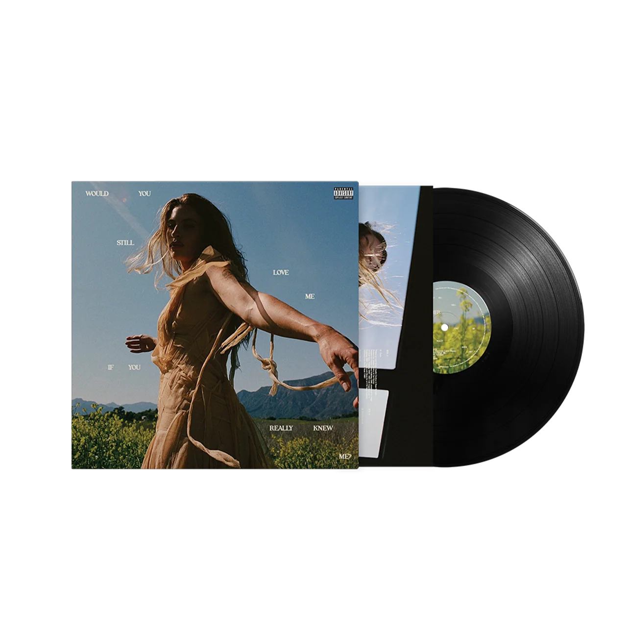 Would You Still Love Me If You Really Knew Me? Vinyl